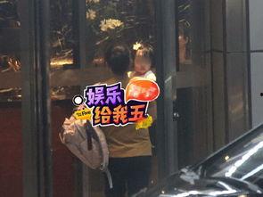 狗仔爆料张杰视频播放,张杰神秘视频引发热议